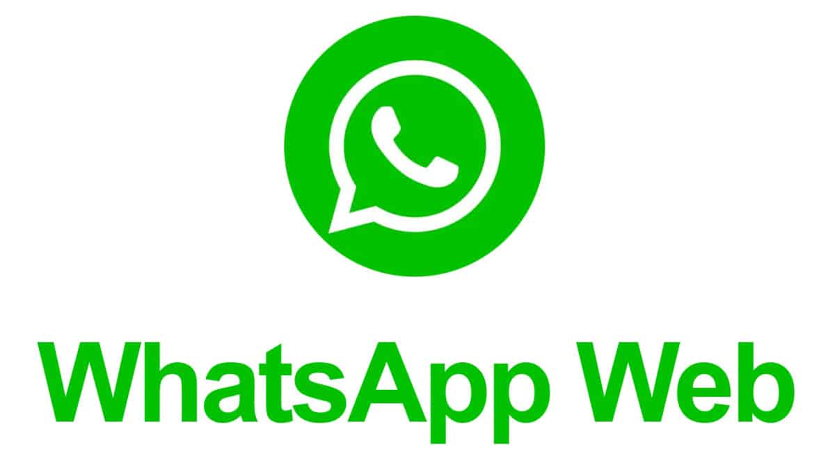 Before filtering numbers on WhatsApp, you need to know these practical tips!